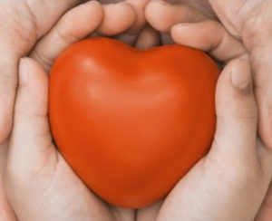 Un très grand merci à toutes celles et ceux qui nous soutiennent ou qui nous ont renouvelé leur confiance.